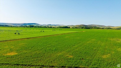 Discover an exceptional opportunity to own 1,265 acres of highly - photo 18