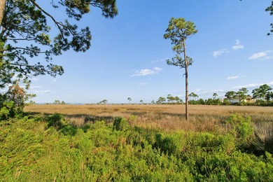 Build Your Dream Home with Stunning Water Views! This .37-acre - photo 9