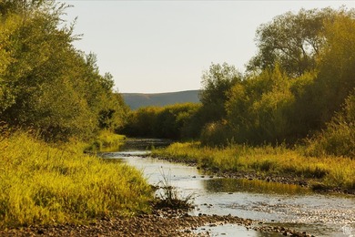 Discover an exceptional opportunity to own 1,265 acres of highly - photo 22