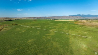 Discover an exceptional opportunity to own 1,265 acres of highly - photo 23