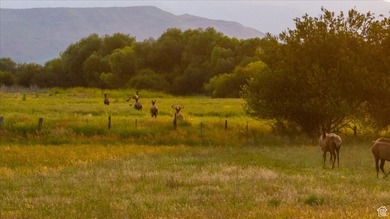 Discover an exceptional opportunity to own 1,265 acres of highly - photo 25