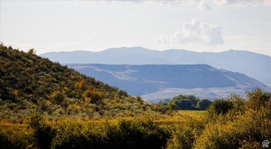 Discover an exceptional opportunity to own 1,265 acres of highly - photo 26