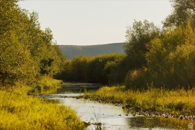 Discover an exceptional opportunity to own 1,265 acres of highly - photo 27
