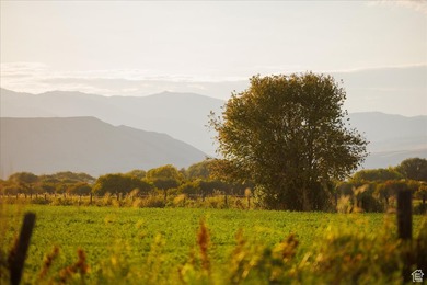 Discover an exceptional opportunity to own 1,265 acres of highly - photo 28