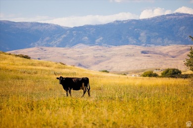 Discover an exceptional opportunity to own 1,265 acres of highly - photo 30