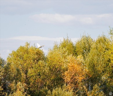 Discover an exceptional opportunity to own 1,265 acres of highly - photo 31