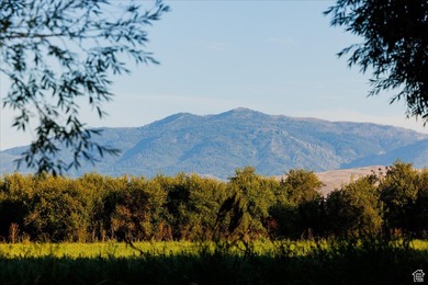 Discover an exceptional opportunity to own 1,265 acres of highly - photo 32