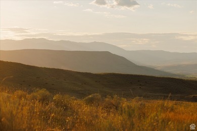 Discover an exceptional opportunity to own 1,265 acres of highly - photo 33