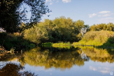 Discover an exceptional opportunity to own 1,265 acres of highly - photo 36
