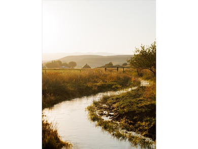 Discover an exceptional opportunity to own 1,265 acres of highly - photo 37