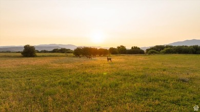Discover an exceptional opportunity to own 1,265 acres of highly - photo 38