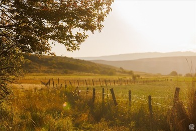 Discover an exceptional opportunity to own 1,265 acres of highly - photo 39