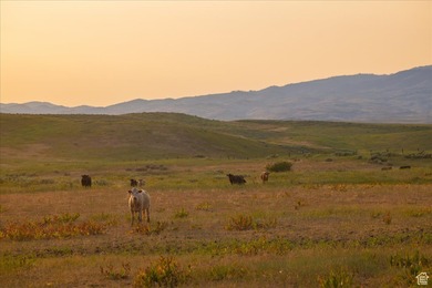 Discover an exceptional opportunity to own 1,265 acres of highly - photo 44