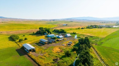Discover an exceptional opportunity to own 1,265 acres of highly - photo 47