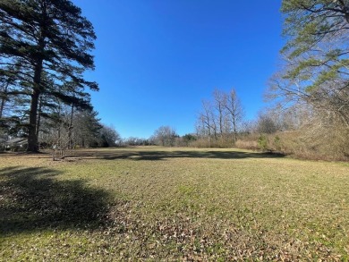 Lake Acreage For Sale in Americus, Georgia