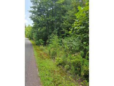 Lake Nottely Lot Sale Pending in Blairsville Georgia