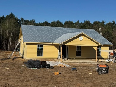 Lake Home For Sale in Vienna, Georgia