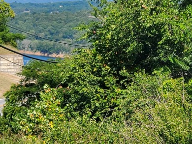 Lake Acreage For Sale in Forsyth, Missouri