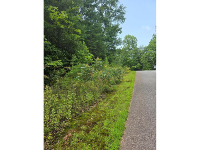 Lake Nottely Lot Sale Pending in Blairsville Georgia