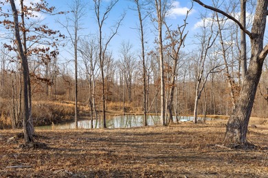 (private lake, pond, creek) Acreage For Sale in Dunlap Tennessee