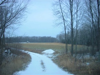 Eau Claire River Acreage For Sale in Mosinee Wisconsin