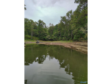 Lewis Smith Lake - Lot 115 In Lakeshore West subdivision. Large - photo 5