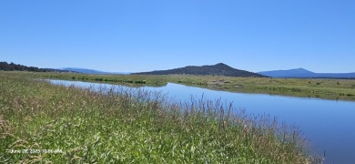 (private lake, pond, creek) Acreage For Sale in Sprague River Oregon