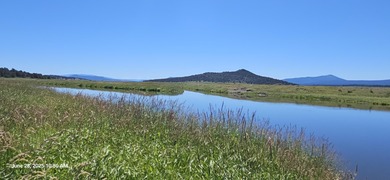 Sprague River Acreage For Sale in Sprague River Oregon