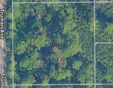 Lehigh Acres Area Lot For Sale in Lehigh Acres Florida