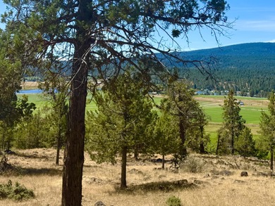 (private lake, pond, coastal) Acreage For Sale in Klamath Falls Oregon