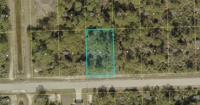 Lehigh Acres Area Lot For Sale in Lehigh Acres Florida