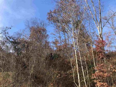 Holston River - Hawkins County Lot For Sale in Rogersville Tennessee