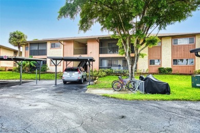 Lake Condo For Sale in Fort Myers, Florida