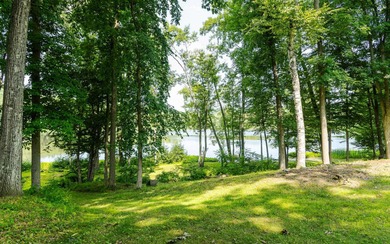Connecticut River Lot For Sale in Charlestown New Hampshire