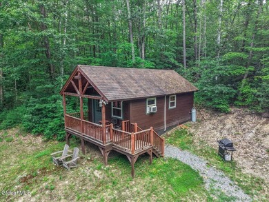 Rare Opportunity: Witherbee's Carriage House Restaurant & Cabins - photo 29