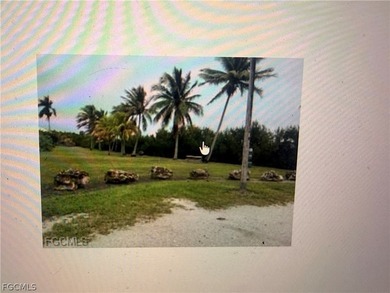 Great Area of Pine Island in Tropical Point. Nice small picnic - photo 1