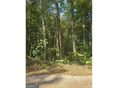 Lake Lot For Sale in Martin, Georgia