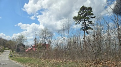 Lake Lot For Sale in Sevierville, Tennessee