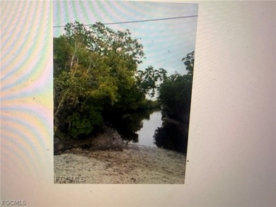 Great Area of Pine Island in Tropical Point. Nice small picnic - photo 3