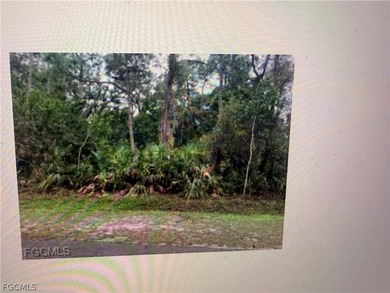 Great Area of Pine Island in Tropical Point. Nice small picnic - photo 5