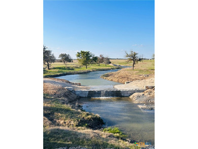 (private lake, pond, coastal) Home For Sale in Cranfills Gap Texas