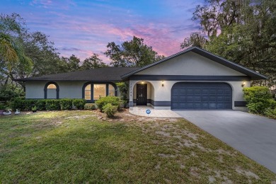 Lake Home For Sale in Ocklawaha, Florida