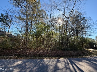 Twin Lakes Lot For Sale in Diamondhead Mississippi