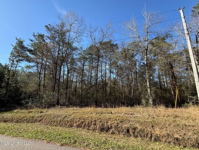 Twin Lakes Lot For Sale in Diamondhead Mississippi