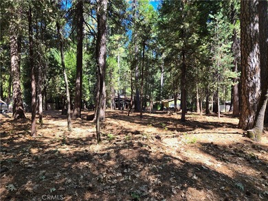Paradise Lake Lot For Sale in Magalia California