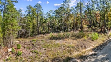 Lake Sam Rayburn  Lot For Sale in Brookeland Texas