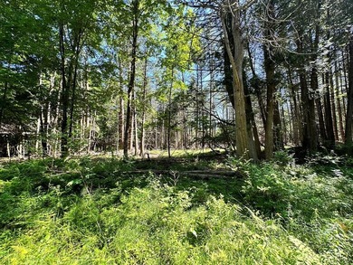 This beautiful 15.9 acre wooded lot is split between the - photo 1
