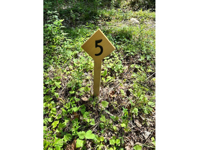 This beautiful 15.9 acre wooded lot is split between the - photo 3
