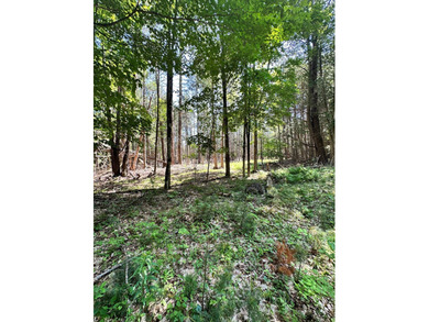This beautiful 15.9 acre wooded lot is split between the - photo 4