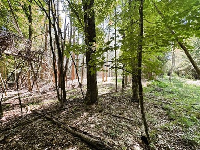 This beautiful 15.9 acre wooded lot is split between the - photo 5
